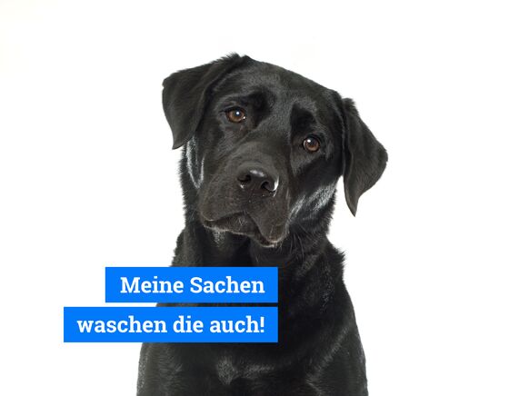 Ein Bild von einem Tier mit der Beschriftung "Meine Sachen waschen die auch!"